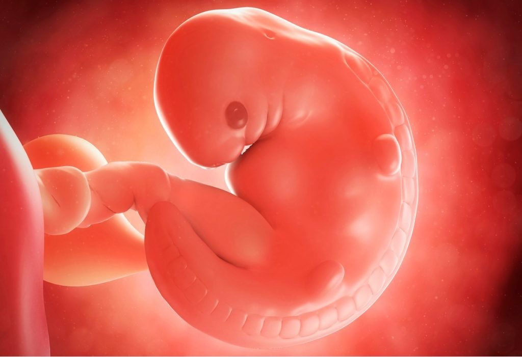 Bir haftalik. Ребенок в животе на 6 недели беременности. Эмбрион на 6 неделе беременности. Зародыш ребенка в утробе.