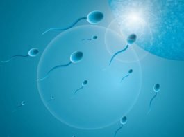 sperm kalitesi