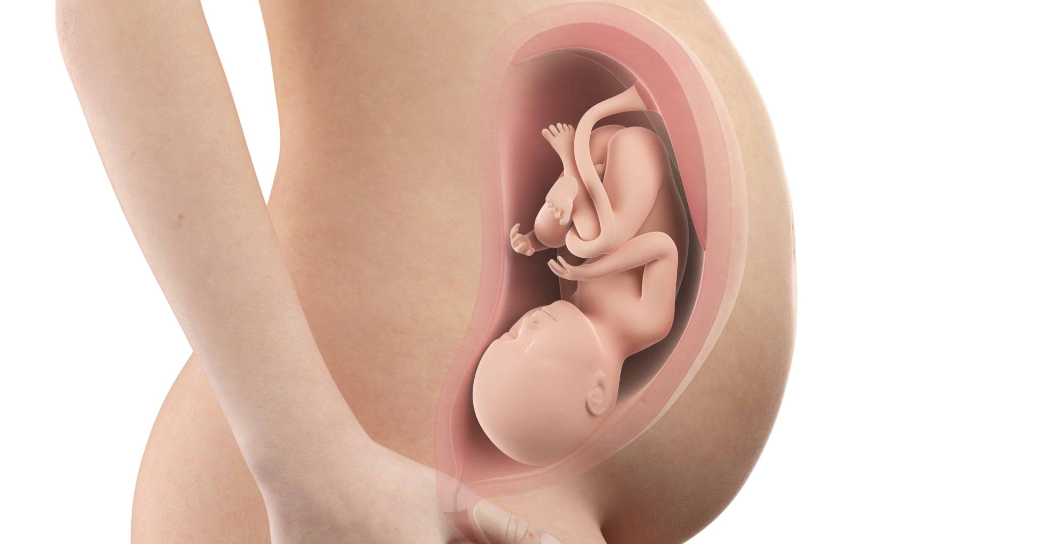 39 неделя беременности ощущение. Ребенок в животе 18 недель. Малыш на 18 неделе беременности в животе. Расположение ребенка на 19 неделе.