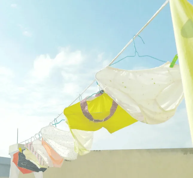 Dikişsiz Külot: Konfor ve Zarafetin Kusursuz Buluşması