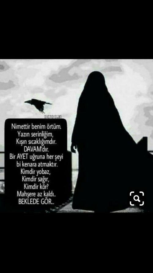 Carsaf Giyer Misiniz Diger