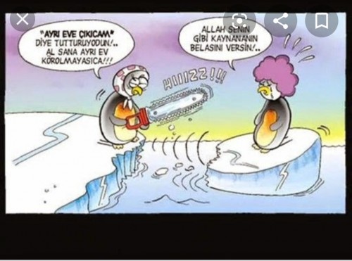 kaynnasiyla oturup da ayri eve cikan varmi sebep neydi diger