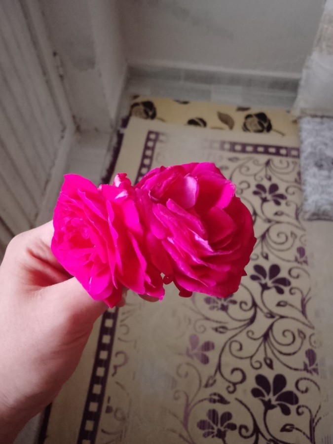 Sevgisiz_hayat_47